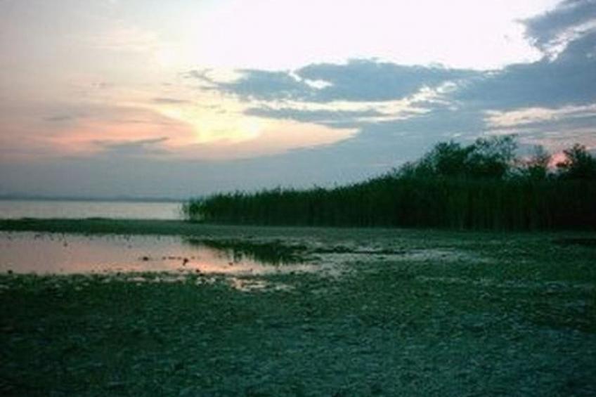 Forsthaus Chiemsee - foto 18