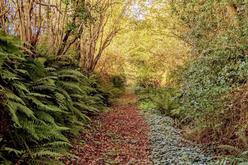 Helles, offenes Ferienhaus, Gemeinschaftspool Hunde - foto 36
