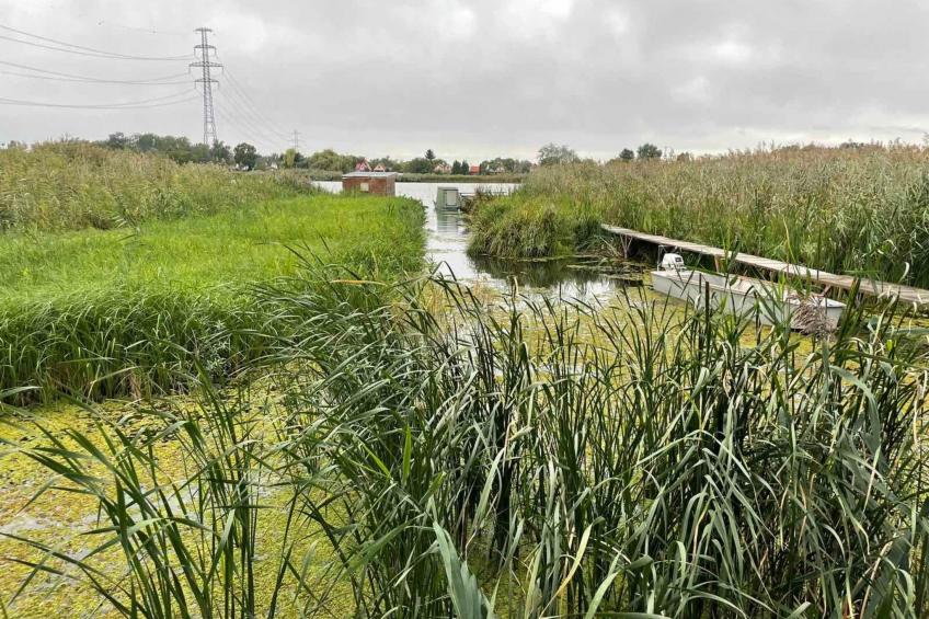 Majoshaza 20 min von Budapest direkt an der Donau - foto 6