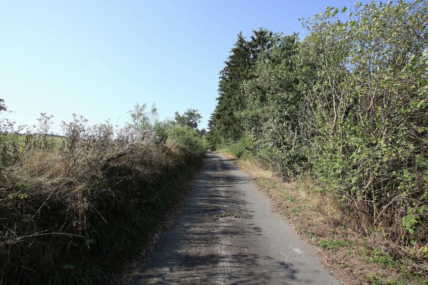 Grabenhaus - foto 33