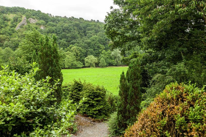 Domaine De L'Ecureuil 1 - foto 36