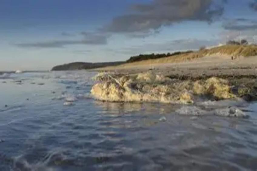 Appartementen Post Hiddensee, Vitte - Type A - foto 32