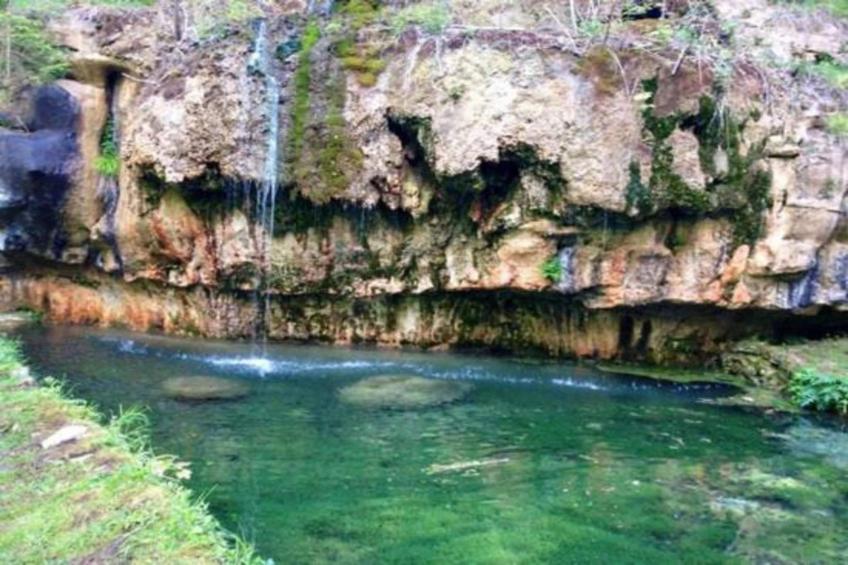 Resort Echternacherbrück 1 - foto 29