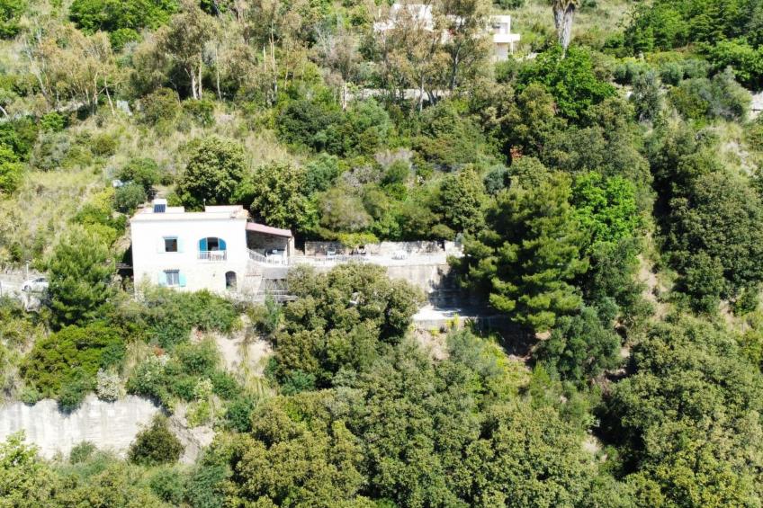 HAUS ELENA - foto 43