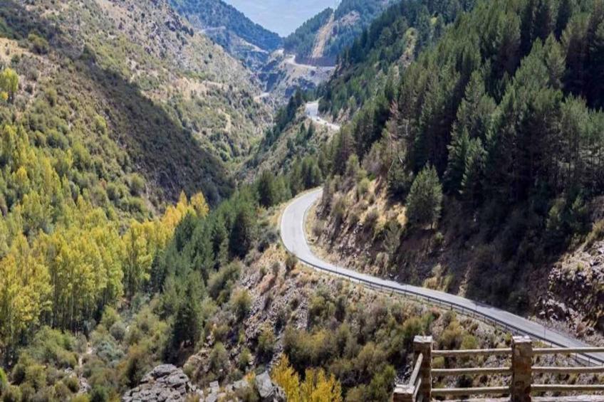 1369-Ginebra - foto 12