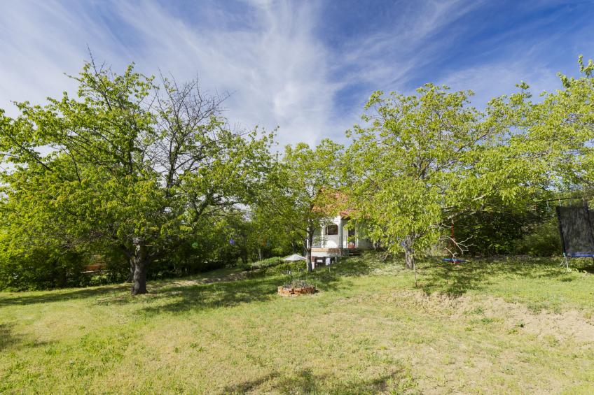 Öreghegy Kis Ház - foto 3