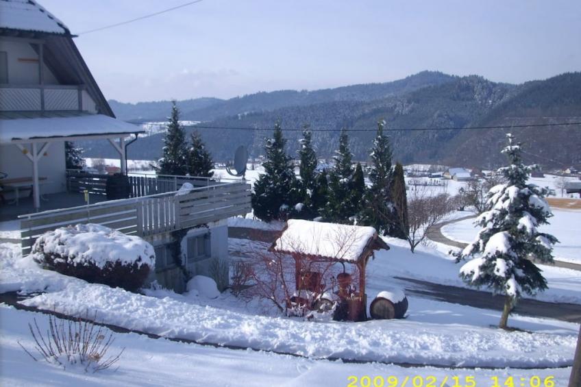 199221 - foto 16