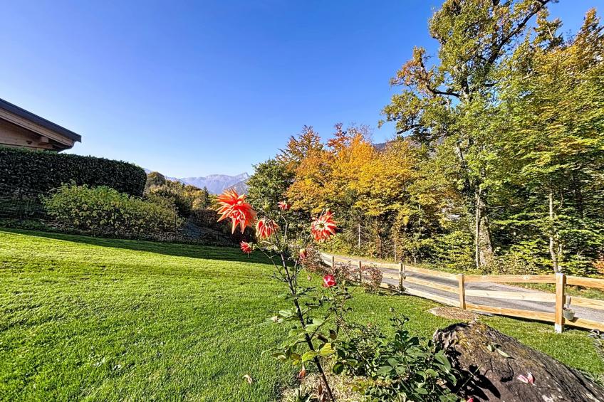 Le Blueberry - foto 23