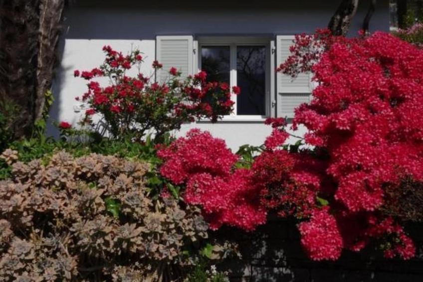 Öko-Haus P Pool Garten herrlicher Seeblick - foto 14