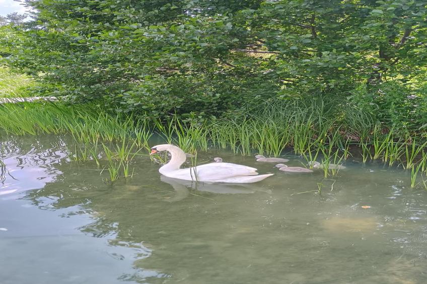 Dom nad jeziorem Mausz - foto 29