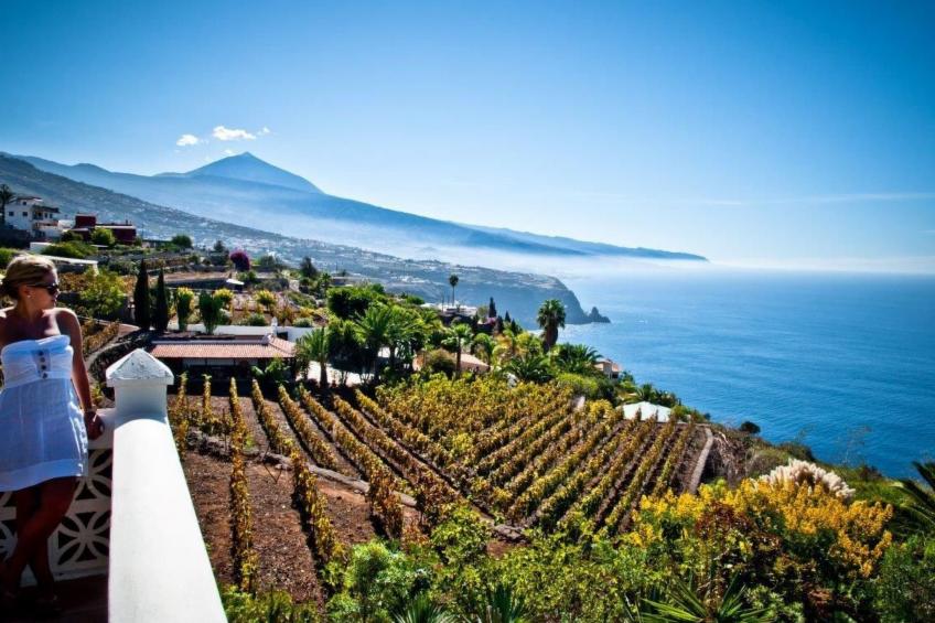 Wohnung in La Matanza De Acentejo mit Terrasse, gemeinsamem Pool und Garten - foto 24