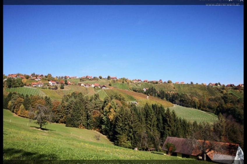 61953 - foto 37