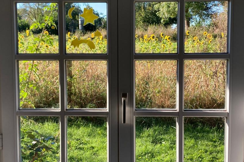 Finkenbusch - foto 40