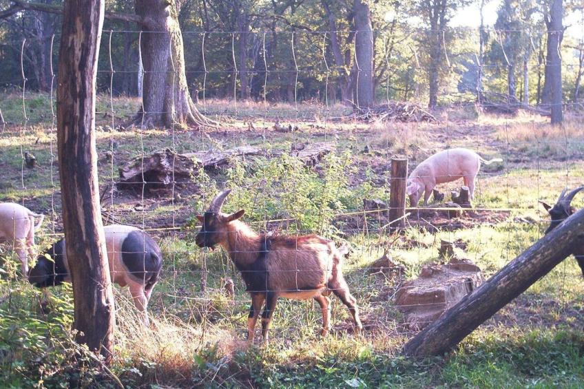 Fewo Stricker 33 - foto 38