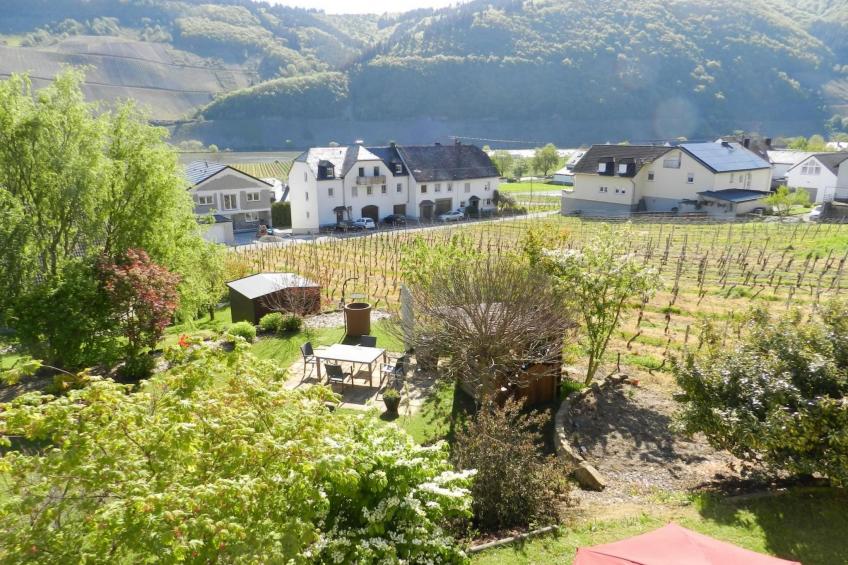 Schöne Ferienwohnung mit Terrasse und Moselblick - foto 19