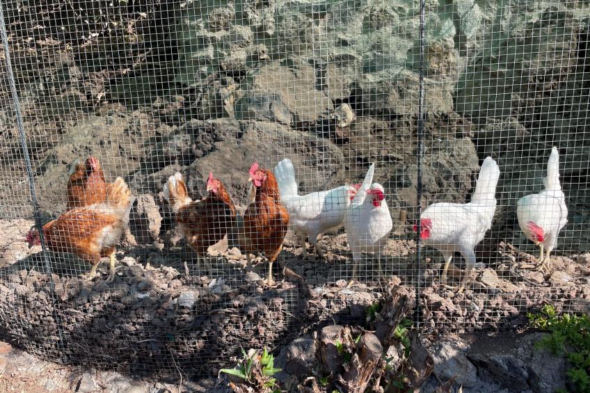 Casa Amarilla - foto 37