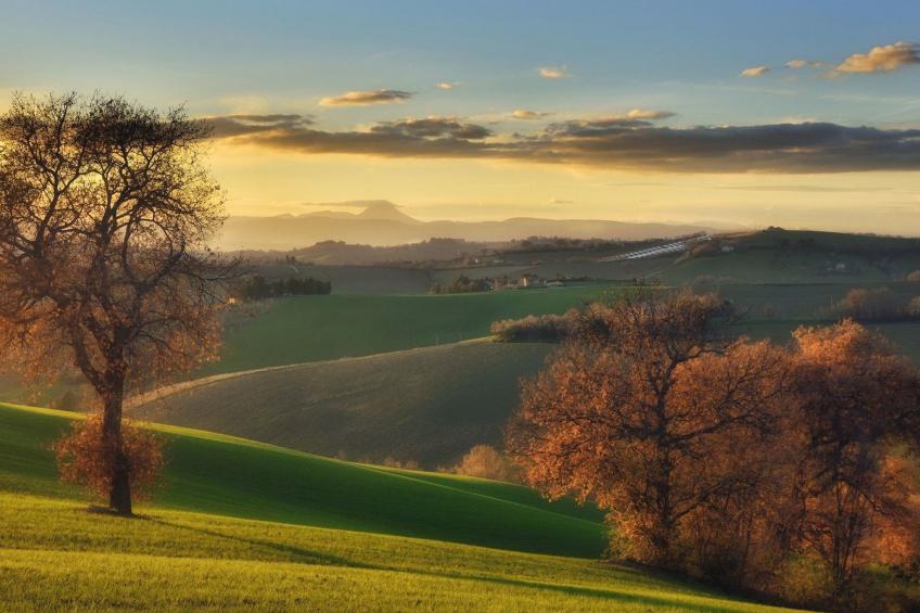 'Casa il Girasole' - foto 17