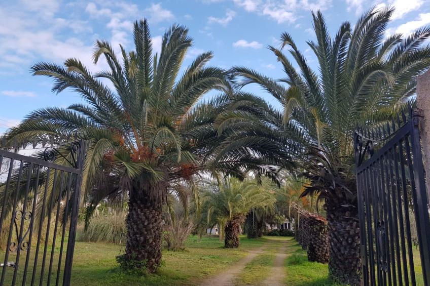 Palma Wohnung mit beheiztem Pool und privatem Garten, 1 Minute vom Meer entfern - foto 15