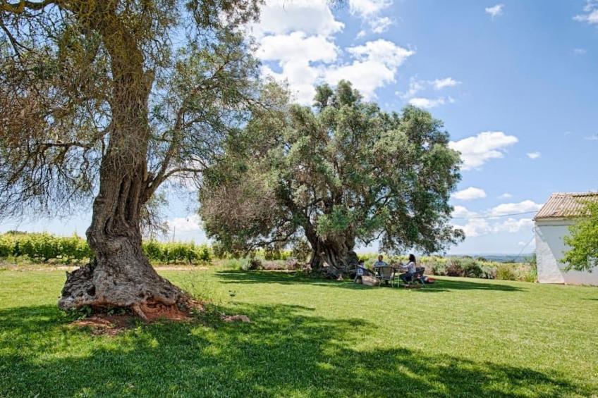 Ferienvilla mit Garten, Grill und Terrasse - foto 4