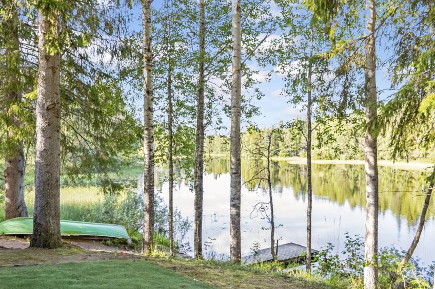 Vaikon loma ja lohi - foto 34