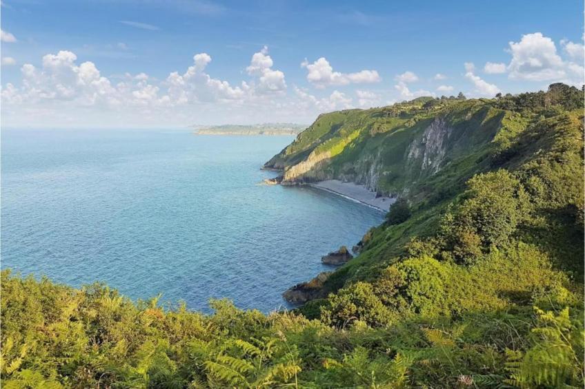 Gîte Saint-Gilles-les-Bois - foto 23