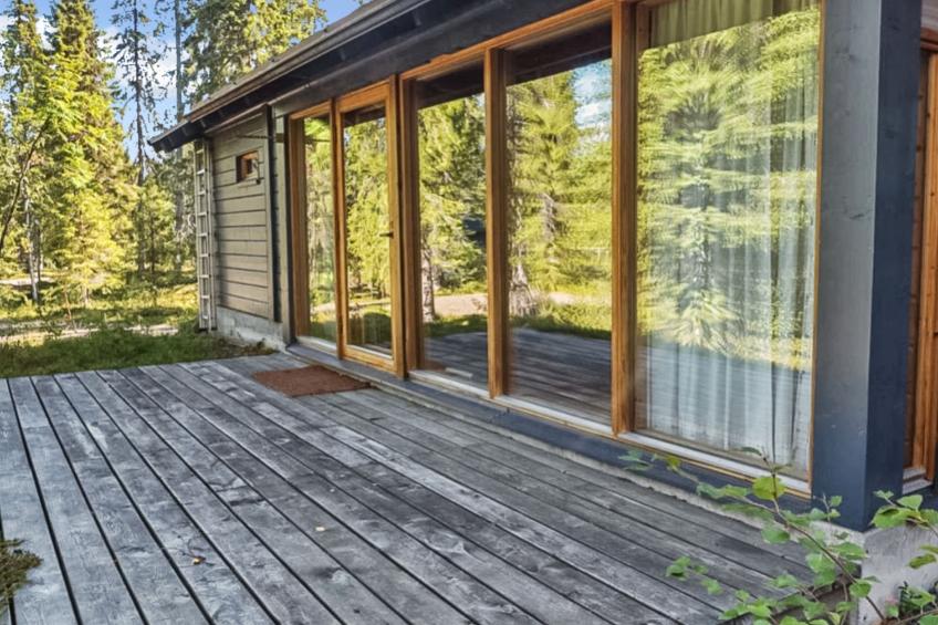 Sinikuono - foto 28