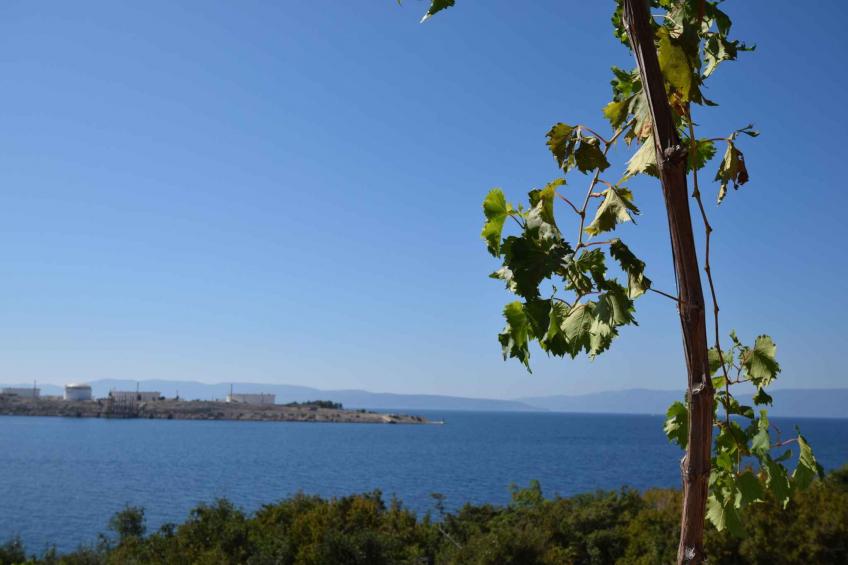 Vakantiewoning sa klimom i vrtom u blizini Plaze - BF-RNMR - foto 24