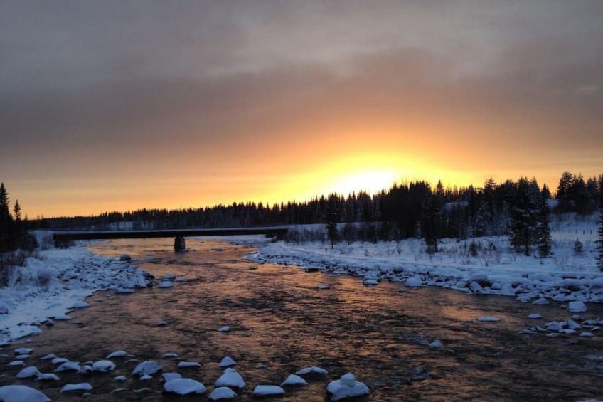 mit Garten, Grill und Terrasse - foto 32