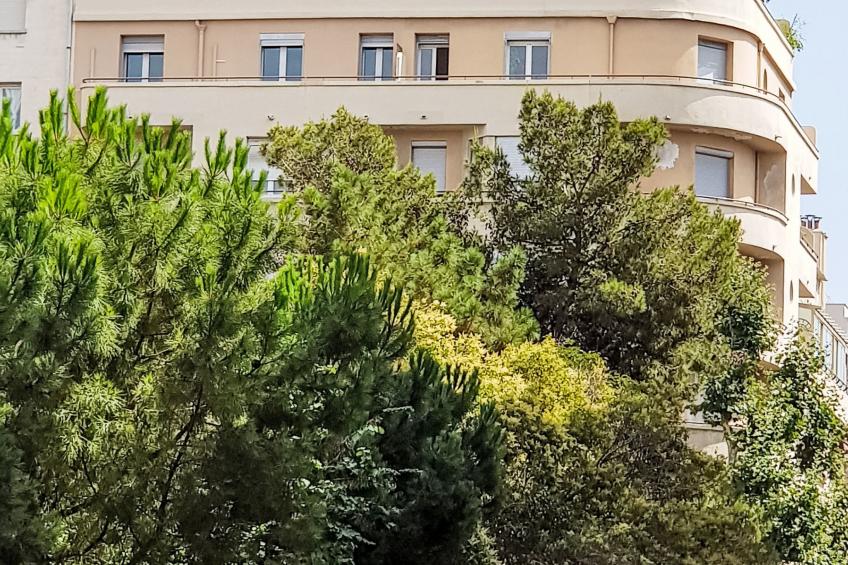 Möbliertes Studio Agachadou 25m2 mit 3 Terrassen 36m2 - foto 22