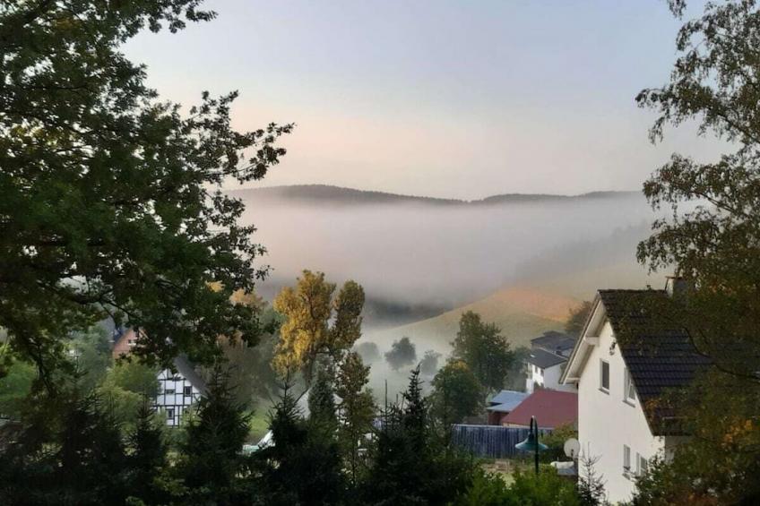 287995 - foto 11