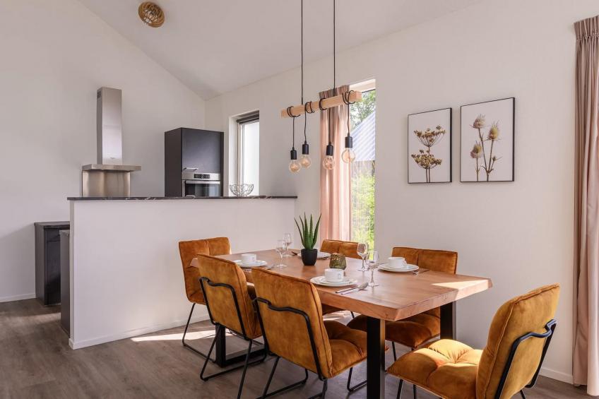 Drentsche B - foto 6