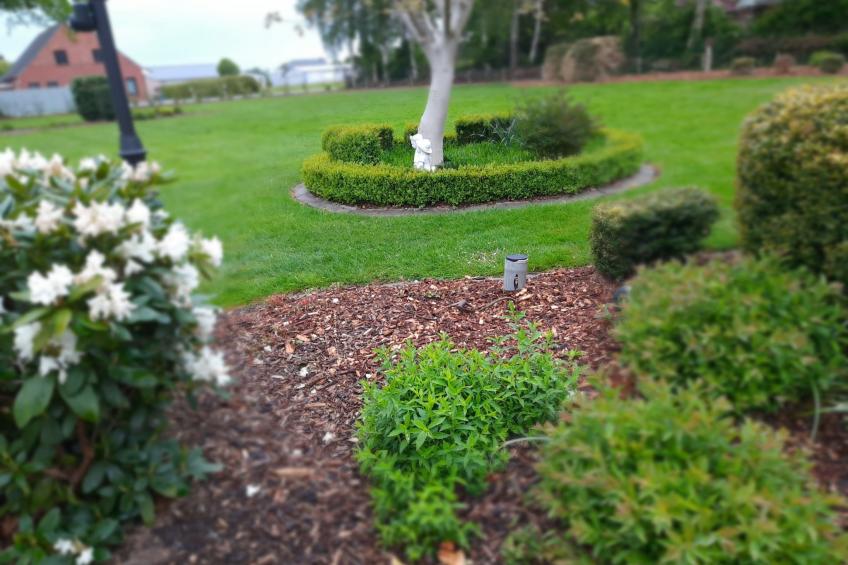 Fewo Schlingshöhe - foto 22