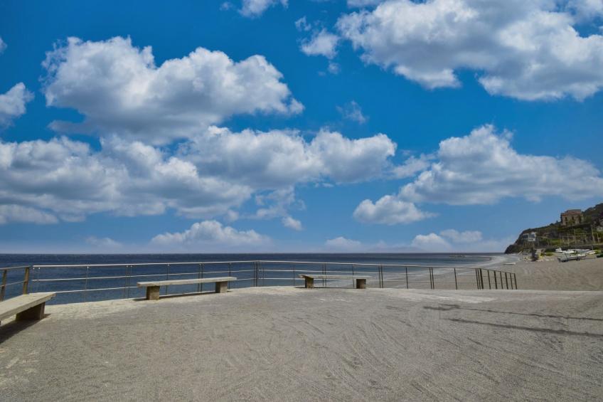 Flache Zeder - foto 46