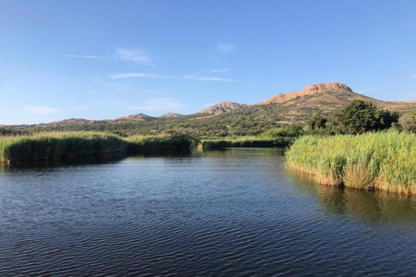 Résidence-Club les Villas Bel Godère - foto 21