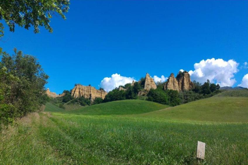 Podere Pulicciano Orciaia - foto 21