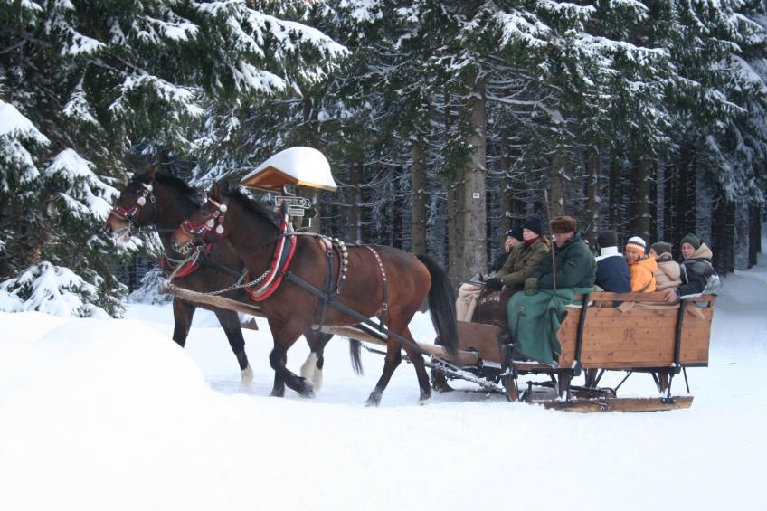Vogtlandresidenz - foto 22