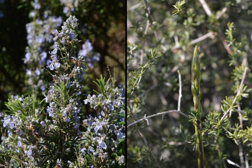 Su Sole de Barega - foto 23