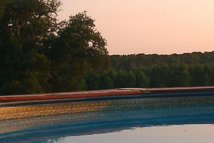 Bauernhaus im Naturpark Gavarres - foto 35