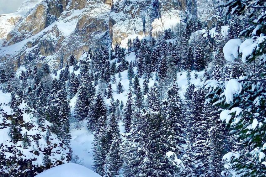 Cesa Vedla DOLOMITES - foto 38