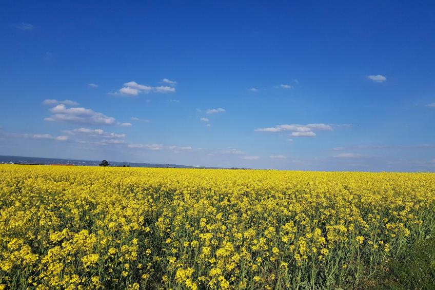 Ferienwohnung Freital - Dresden - foto 14