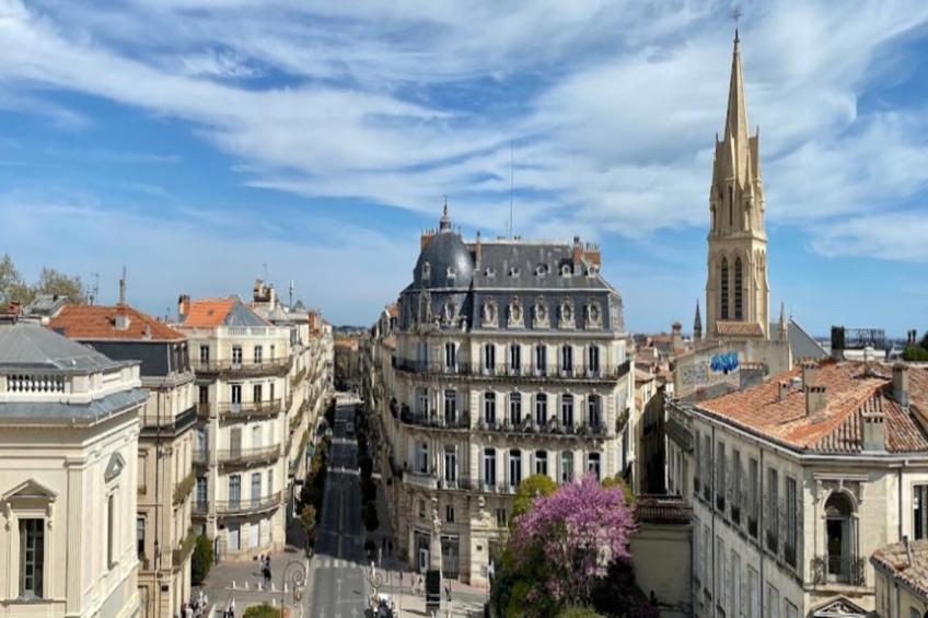 Appartements à Montpellier - foto 31