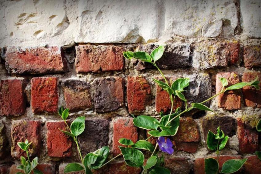 Liebevoll renoviertes Ferienhaus als Teil eines kleinen Bauernhauses mit abgesc - foto 14