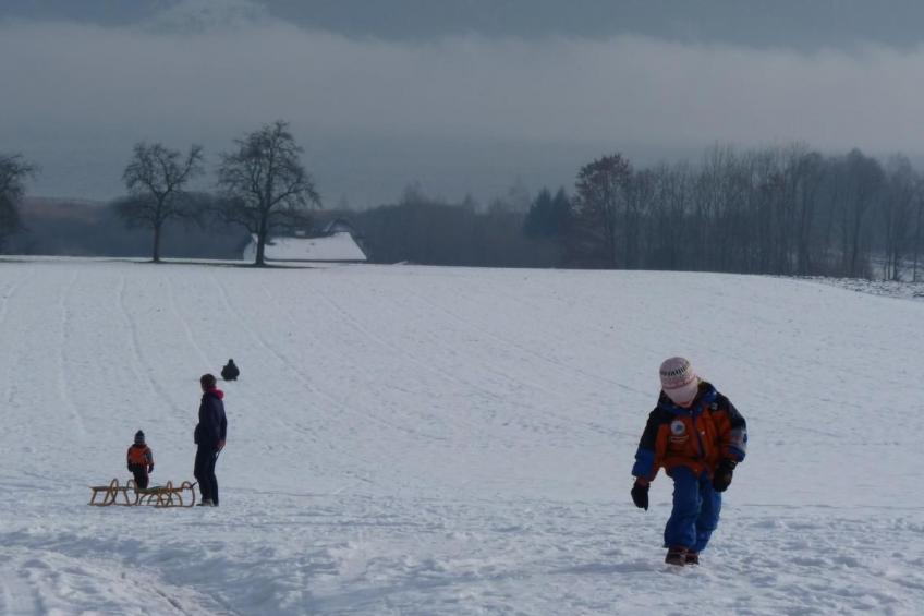 Traunstein - foto 15