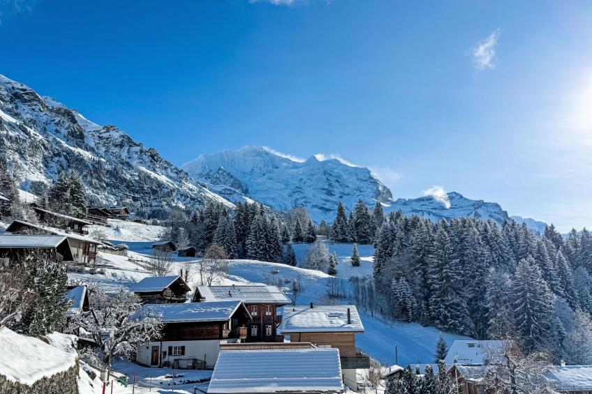 Drei Tannen - foto 36