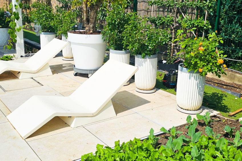 Luxurious large Home, Pool , Garden , Koi Pond - foto 43