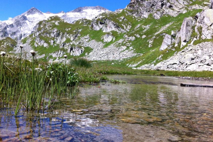 Ursprüngliches, stilvolles Rustico - foto 25