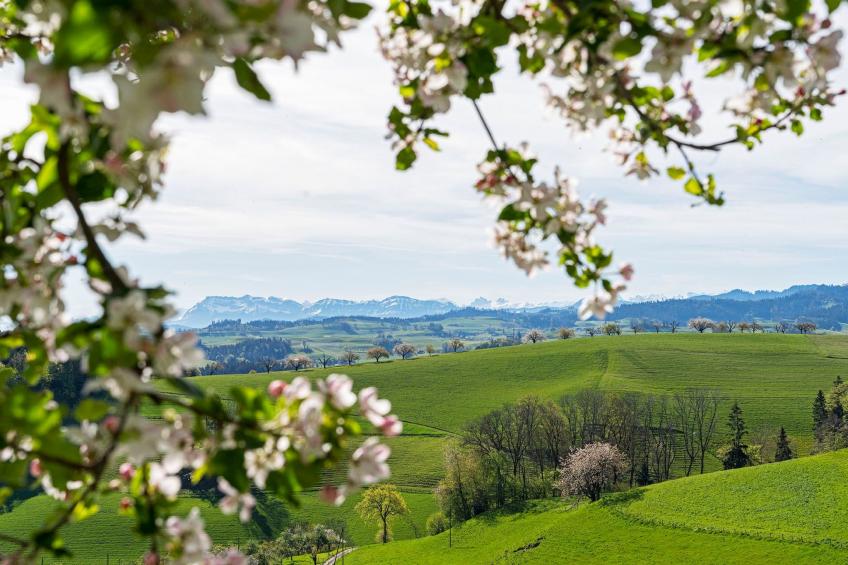 Eggenhof Ferien - foto 11