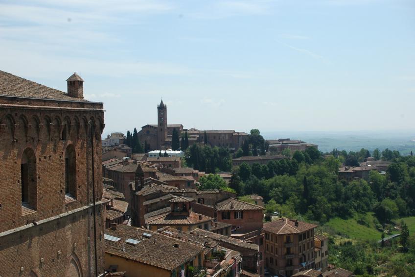 Cipresso - foto 40