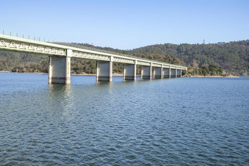 Les Demoiselles - foto 37