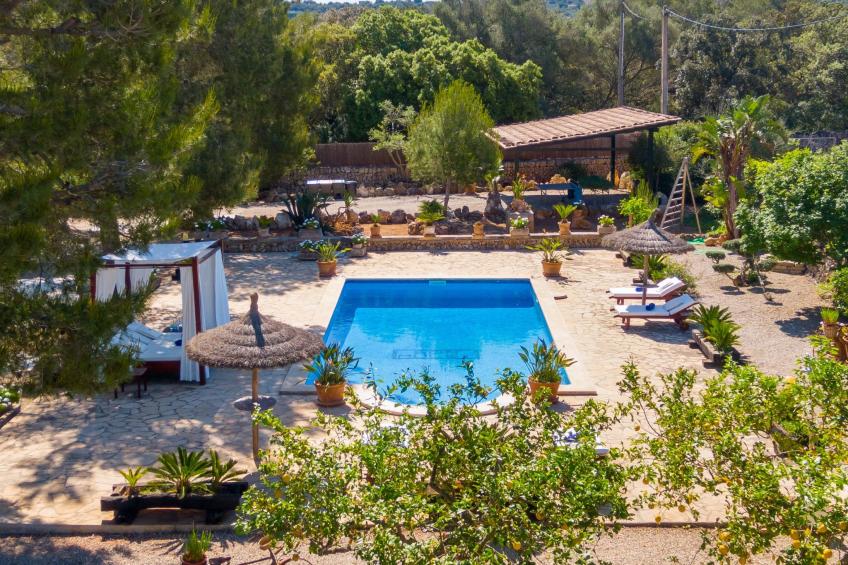 Mulet Llubi - foto 15